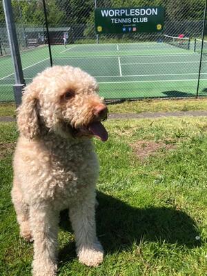 It may not be Wimbledon but it worpleson but I was