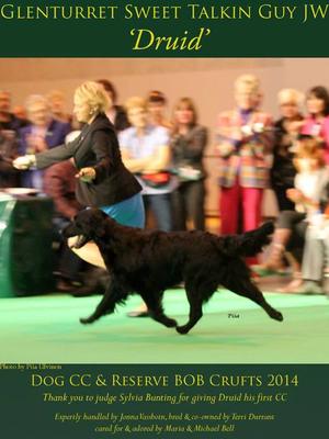 glenturret sweet talkin guy jw crufts 2014