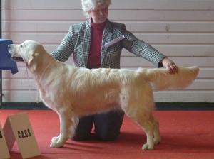 Best of Breed Junior