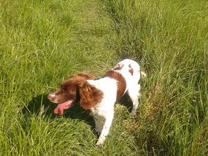 Fun time in the field