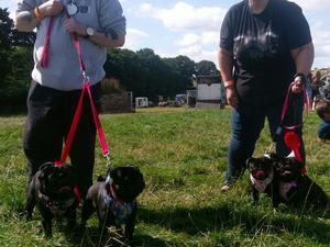 At totnes district and canine society