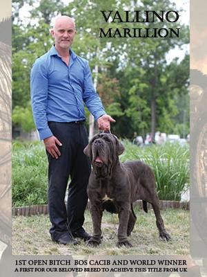 world champion vallino marillion