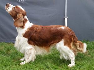 Locksley at 2 years