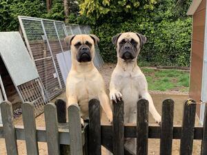 Hattie (right) & daughter