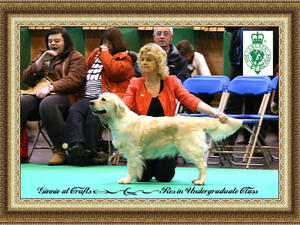 Ginnie At Crufts 2015