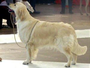 Lacey at 15 months