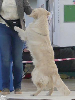 Lacey enjoying the show!
