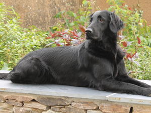 Taz Relaxing