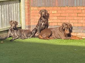 Enjoying the sun