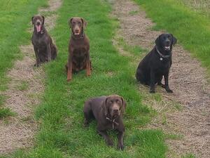 The girls