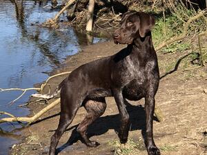 At the river