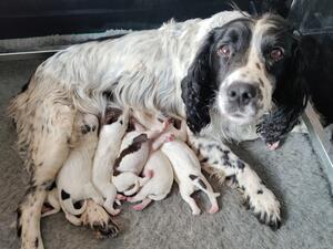 Proud mum