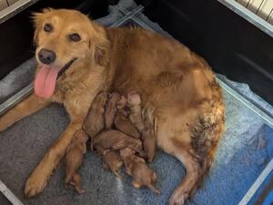 Proud mum