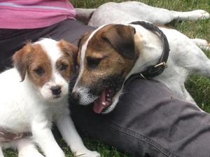 Maisie and Hugo