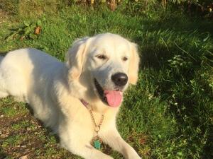 Taisce at 18 months