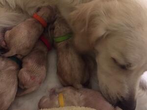 Just born