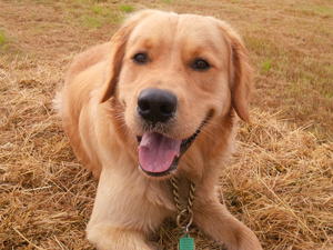 Freckle at 24 months