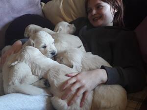 New owners puppy visiting