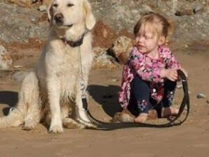 Bowcombe Navet and Hope both aged 3