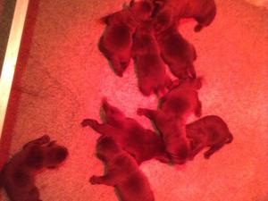 Just a few days old !