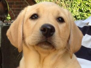 Iam awaiting my new home!
