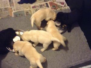 HEADS DOWN GRUB UP!