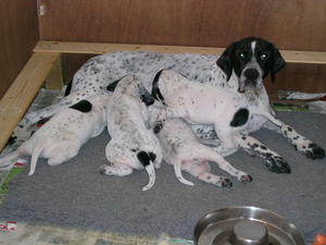HAPPY MUM AND BABIES
