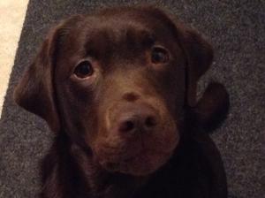 Mum ... Our Ethel