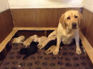 Goodness me dad these all mine?