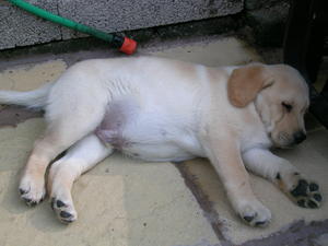 RELAXING ON THE PATIO !