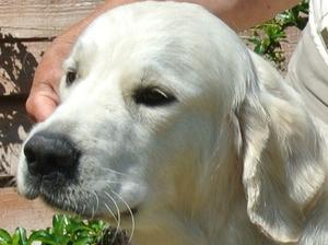 head shot of Josh at 16 months