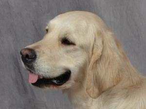 Head shot of Mischa