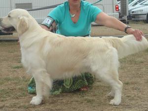 Goldleigh Macloud At Darthill JW (Bill)