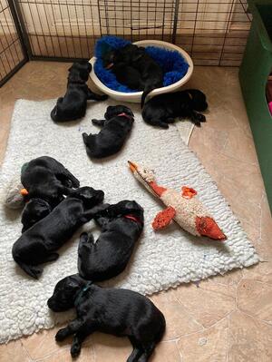 Just chilling at 3 weeks