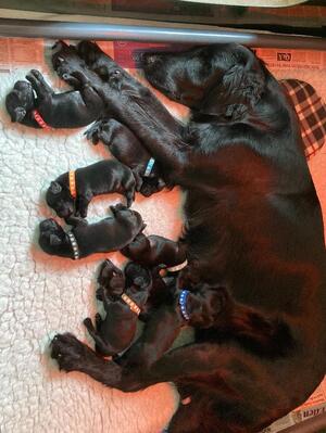 Mum and babies day 3