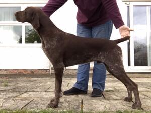 Rick at 8mths