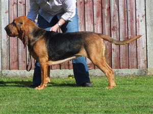 Rogue at 2 years old