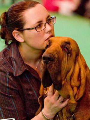 Winning Open Bitch at Crufts