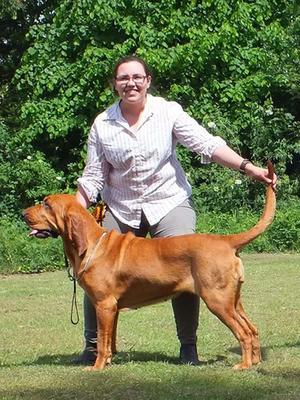 Soren winning Best In Show at The Bloodhound Club