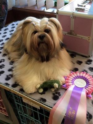 Viva's First show at 6 months