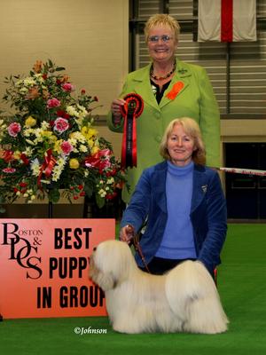 Best Puppy in Utility Group at Boston Ch Show