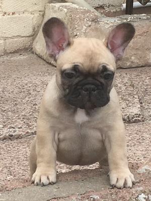 Boy at 5 weeks