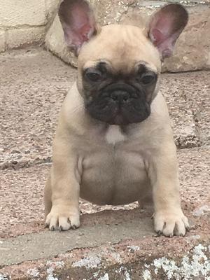 Girl at 7 weeks