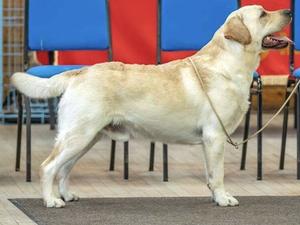 Sire: Mattand On Your Marks