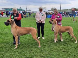 Roman & Radley DCC & BCC