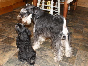 Father and Son