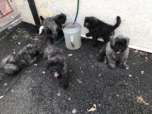 Hosepipe Play time
