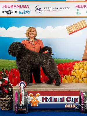 Holland Cup Best Of Breed