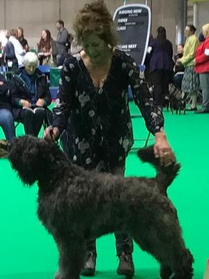Crufts Best Bitch 2018