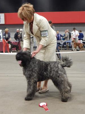 Mon Cher Miss De Mena Jnr CH. Best Puppy